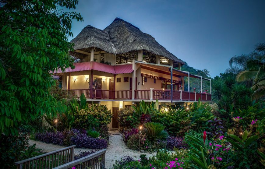 The Rainforest Lodge